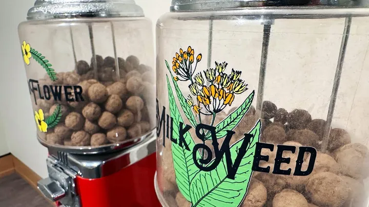 Still Here: Reclaiming place in ‘DoPiKa: Reinstate’