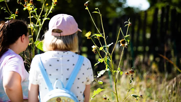 Photos: ICT Bee Fest celebrates pollinators